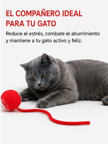 Bola Interactiva para Gatos