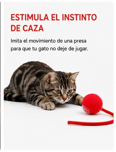 Bola Interactiva para Gatos